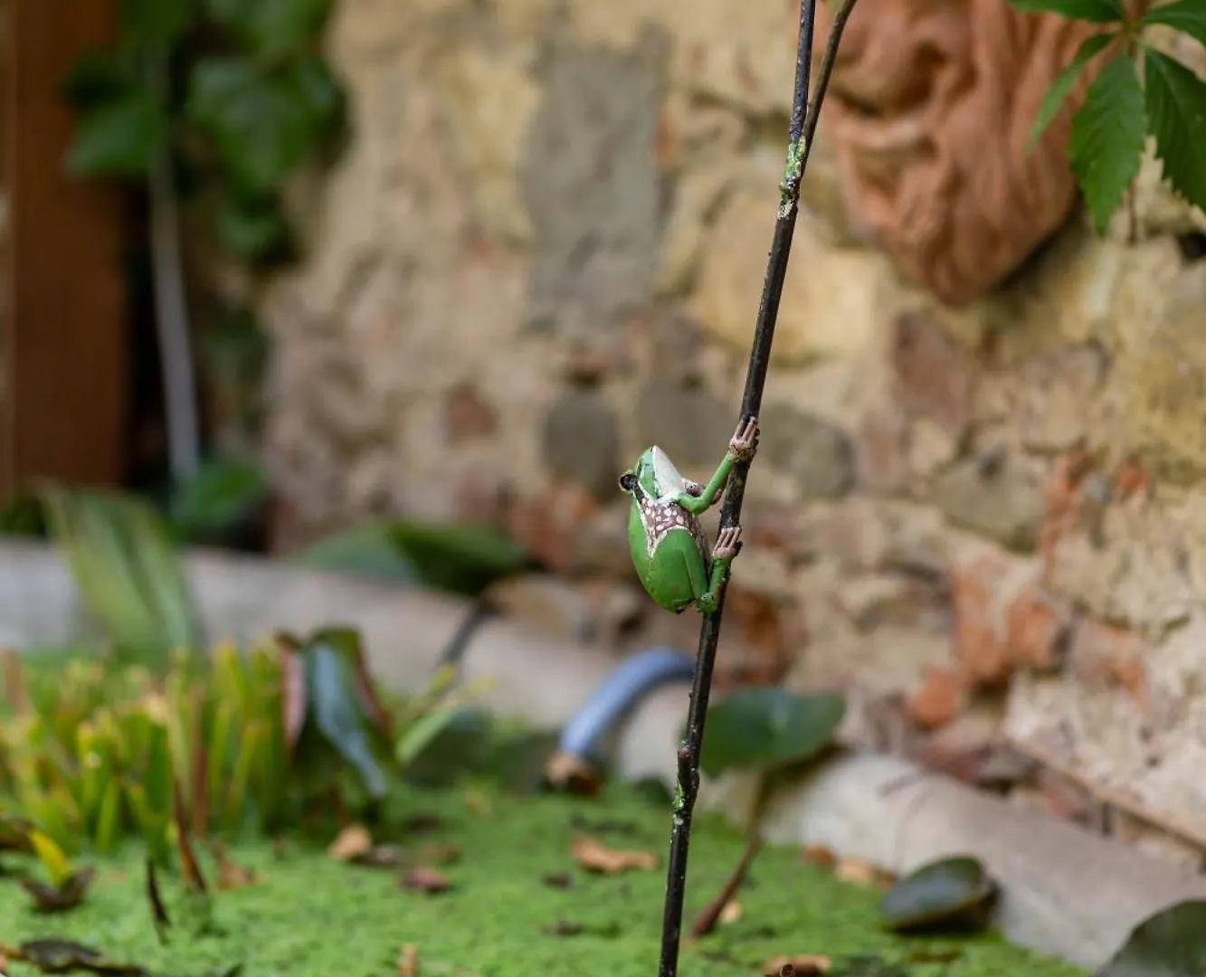 Secret Garden Firenze B&B Alojamento de Acomodação e Pequeno-almoço Florença