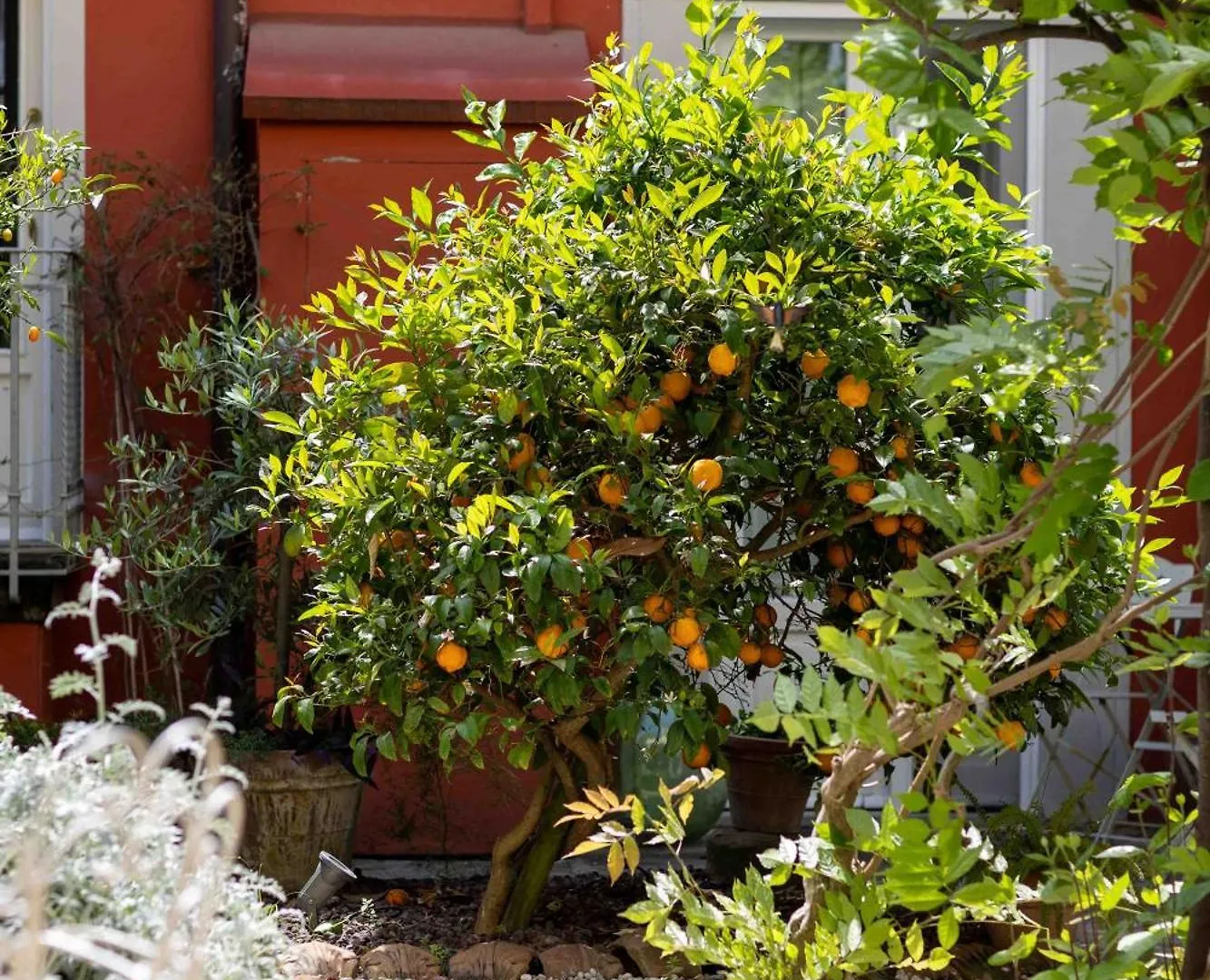 Secret Garden Firenze B&B Itália